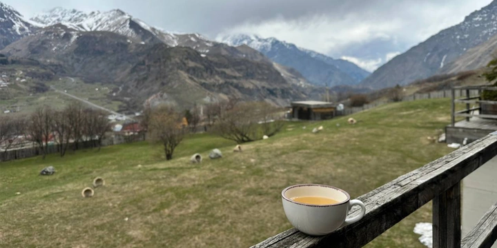 Пока хинкали перевариваются: топ мест в&nbsp;Грузии для&nbsp;уютного чаепития и&nbsp;не только
