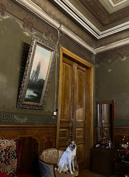 Пока хинкали перевариваются: топ мест в&nbsp;Грузии для&nbsp;уютного чаепития и&nbsp;не только