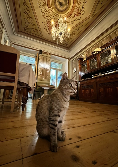 Пока хинкали перевариваются: топ мест в&nbsp;Грузии для&nbsp;уютного чаепития и&nbsp;не только