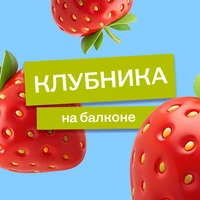 Эксперимент: растим клубнику на балконе