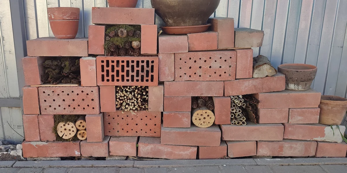 Эксперимент: растим клубнику на балконе