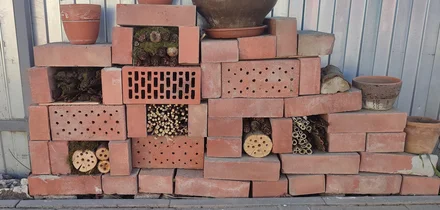 Эксперимент: растим клубнику на балконе