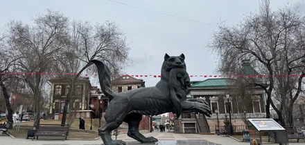 Фото Дарьи Ардаминой