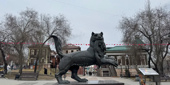 Фото Дарьи Ардаминой