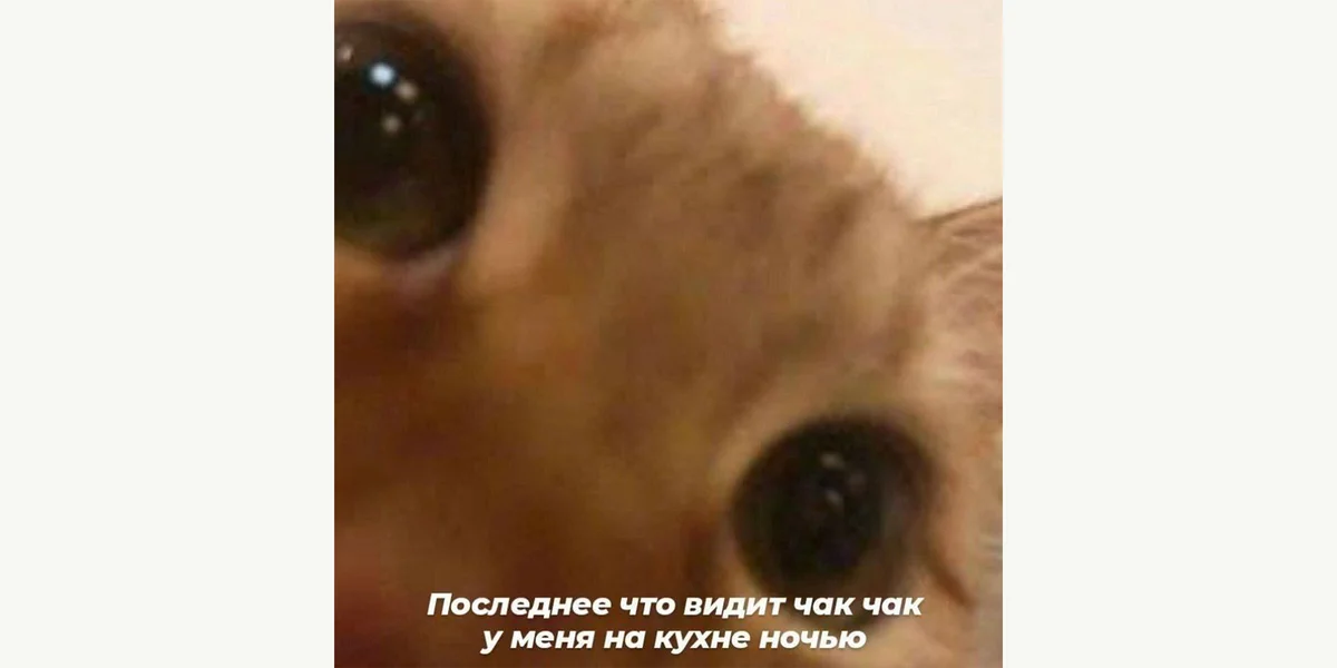 Чак-чак чек: как восточная сладость снова вошла в тренды. А может, всегда там и была