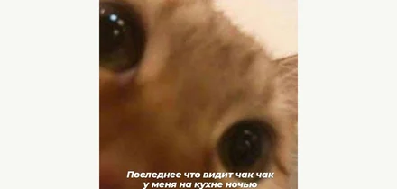 Чак-чак чек: как восточная сладость снова вошла в тренды. А может, всегда там и была