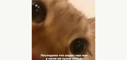 Чак-чак чек: как восточная сладость снова вошла в&nbsp;тренды. А может, всегда там и&nbsp;была