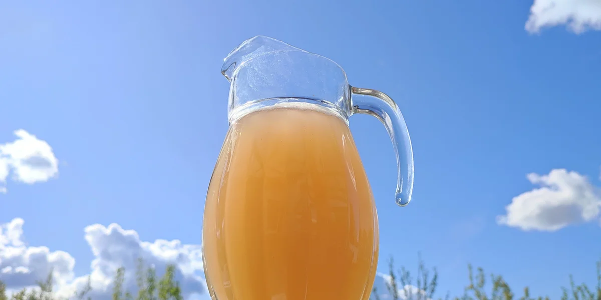 Эксперимент: как сделать домашний квас с нуля