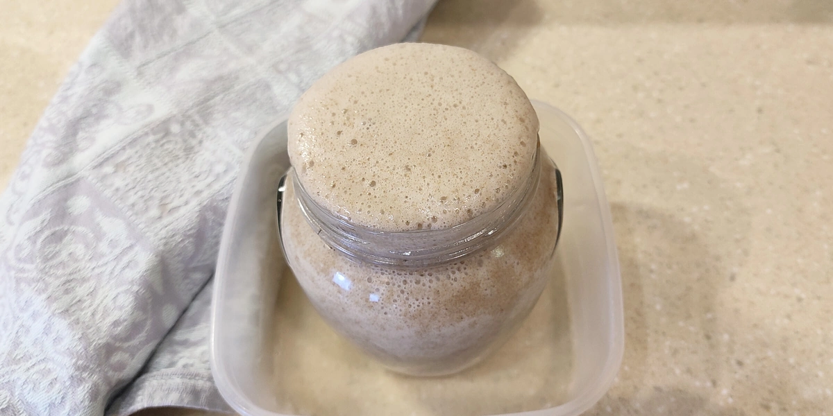 Эксперимент: как сделать домашний квас с нуля