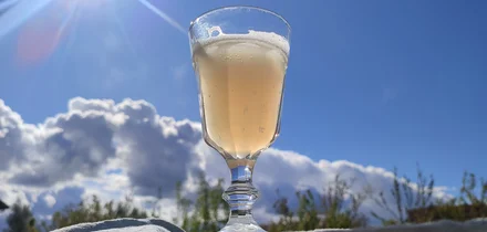 Эксперимент: как сделать домашний квас с нуля