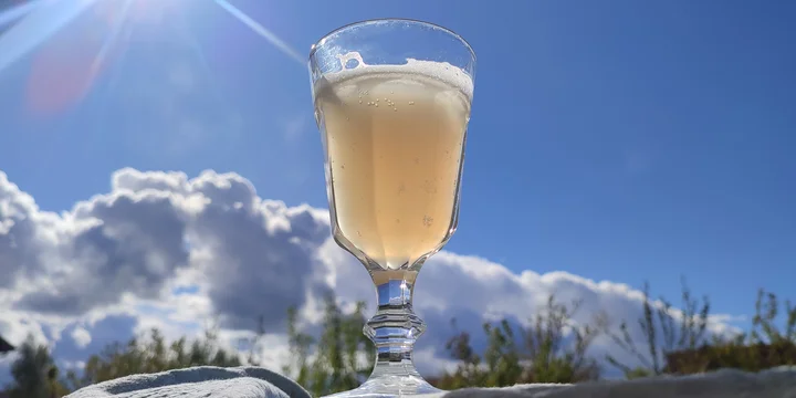 Эксперимент: как сделать домашний квас с нуля