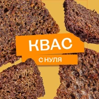 Эксперимент: как сделать домашний квас с нуля