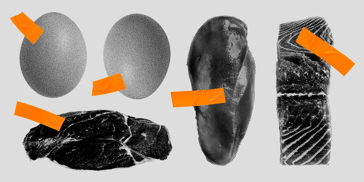 «Карнивор-диета очень полезна и помогает похудеть». Или нет?
