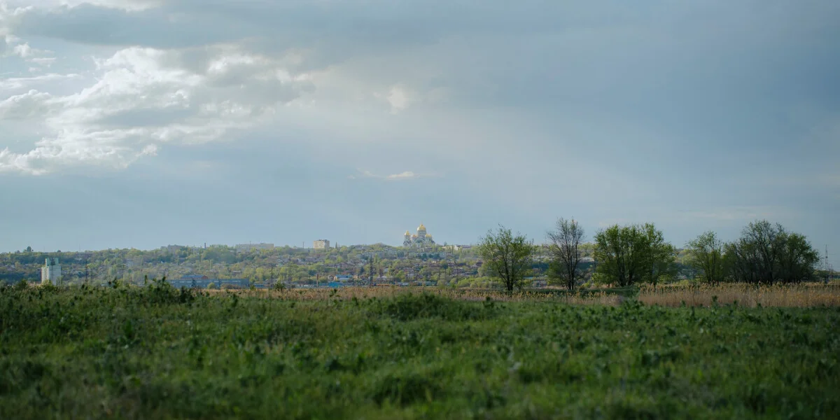 Жизнь казачья: собрали первый урожай кривянских помидоров для ВкусВилла