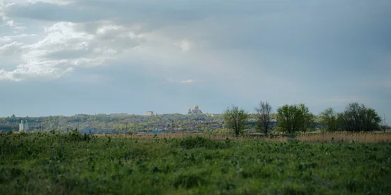 Жизнь казачья: собрали первый урожай кривянских помидоров для ВкусВилла