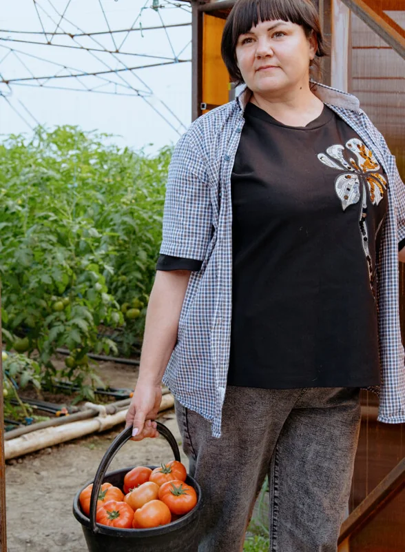 Жизнь казачья: собрали первый урожай кривянских помидоров для ВкусВилла