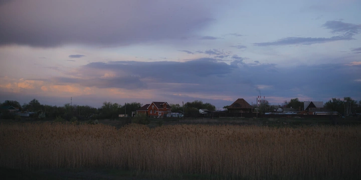 Жизнь казачья: собрали первый урожай кривянских помидоров для&nbsp;ВкусВилла