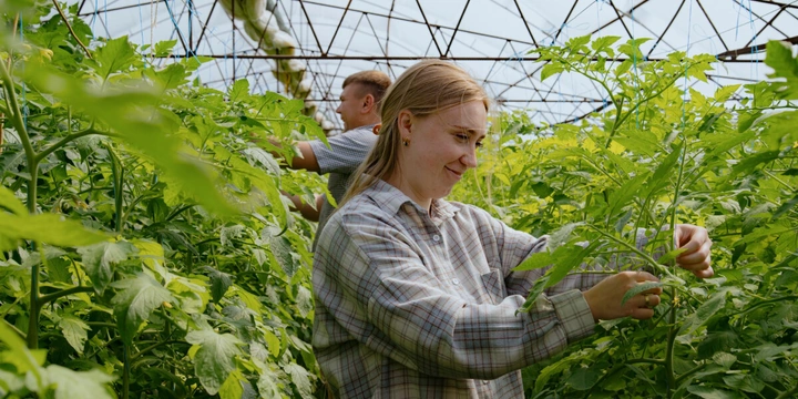 Фермеры Максим и&nbsp;Галина Бирюковы