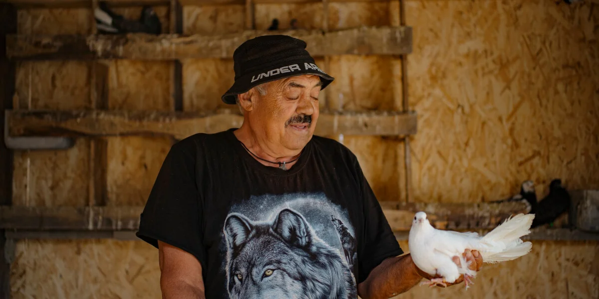 Виктор показывает свою голубятню