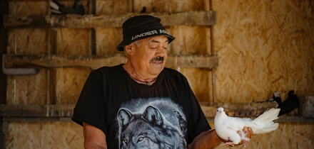 Виктор показывает свою голубятню