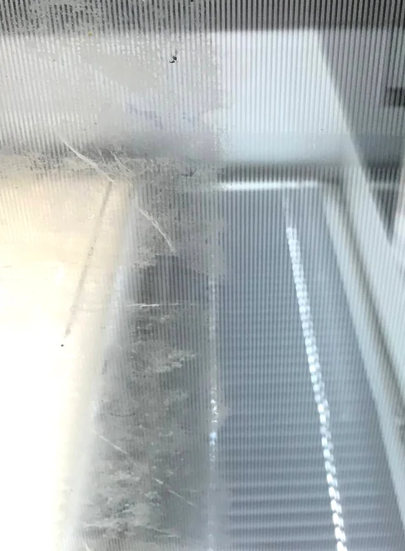 Пробуем новинки вместе: что такое морковь «Не Лосось» и хорош ли сорбет «Тыква-Дыня»