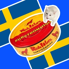 Селёдка сладкая, салака «тухлая»: что и как едят шведы