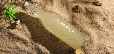 Пикник с&nbsp;муми-троллями: пошаговая инструкция и&nbsp;рецепты из&nbsp;Муми-дола