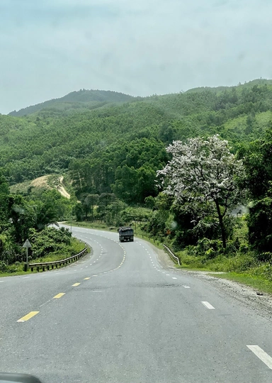 Как вьетнамский суп бедняков фо бо стал иконой стритфуда