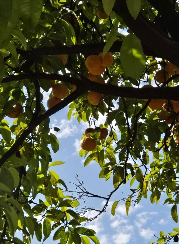 Как правильно потратить отпускные: гастрономический тур по Италии в 2025 году