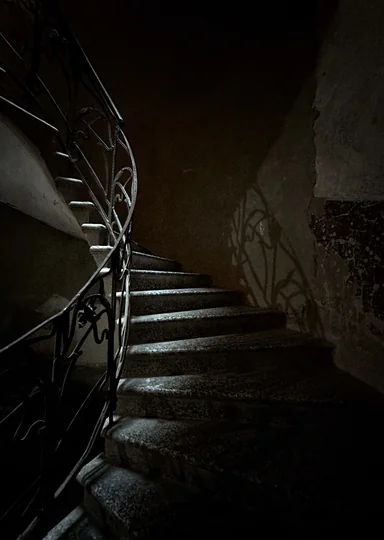 Зачем мы ходим по парадным Петербурга и не только