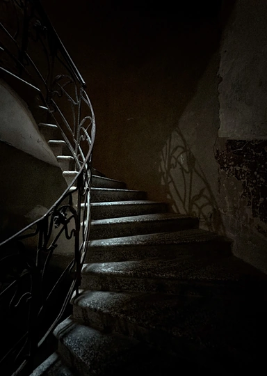 Парадные Санкт-Петербурга: зачем ходят, как попасть и&nbsp;какие стоит увидеть