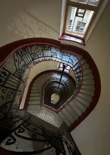 Зачем мы ходим по парадным Петербурга и не только