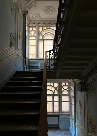 Зачем мы ходим по парадным Петербурга и не только