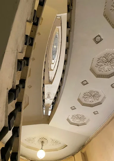 Зачем мы ходим по парадным Петербурга и не только