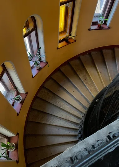 Зачем мы ходим по парадным Петербурга и не только