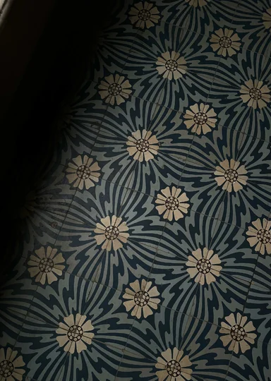 Зачем мы ходим по парадным Петербурга и не только