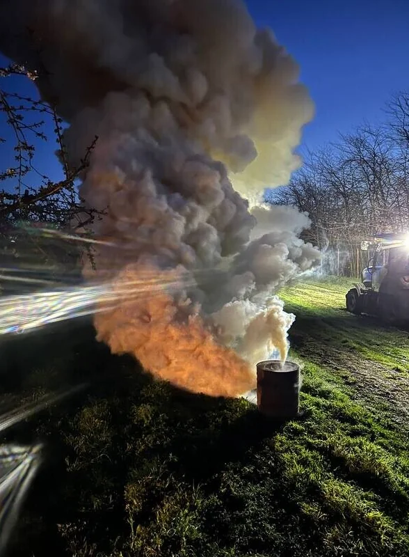 Пчёлы замёрзли и перестали трудиться: как изменение климата повлияло на урожай черешни