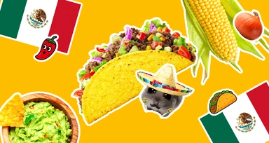 Каковы на вкус комариные яйца: еда в Мексике