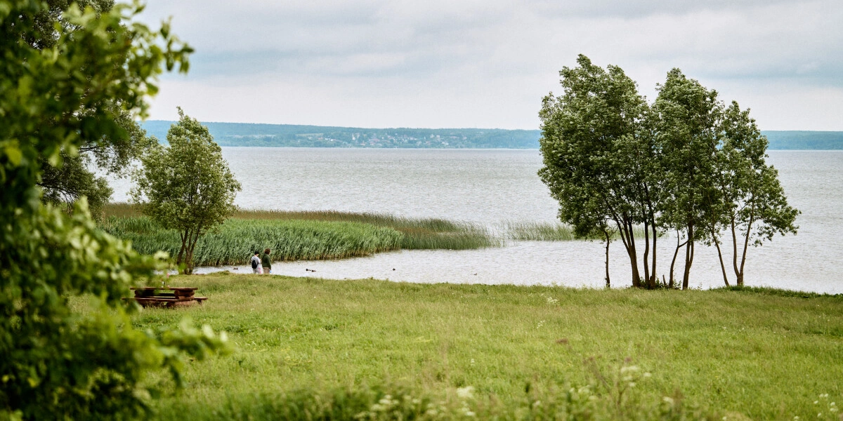 Берём верхнюю ноту: как правильно есть голубое мороженое «Кукис»