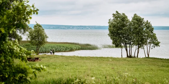 Берём верхнюю ноту: как правильно есть голубое мороженое «Кукис»