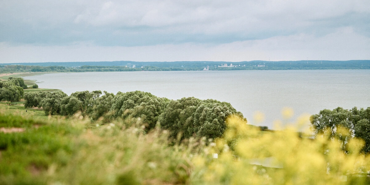 Берём верхнюю ноту: как правильно есть голубое мороженое «Кукис»