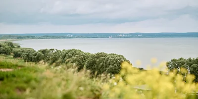 Берём верхнюю ноту: как правильно есть голубое мороженое «Кукис»