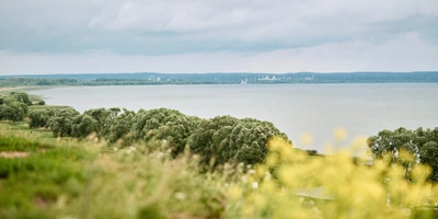 Берём верхнюю ноту: как правильно есть голубое мороженое «Кукис»