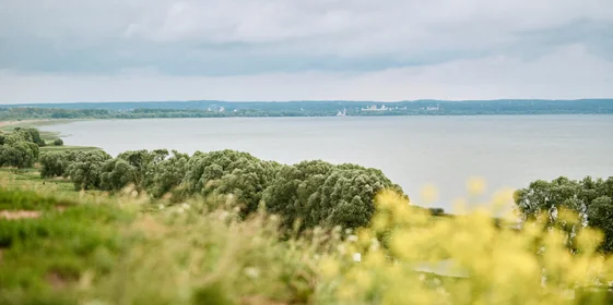 Берём верхнюю ноту: как правильно есть голубое мороженое «Кукис»