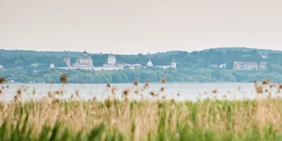 Берём верхнюю ноту: как правильно есть голубое мороженое «Кукис»