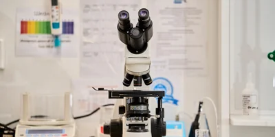 Берём верхнюю ноту: как правильно есть голубое мороженое «Кукис»