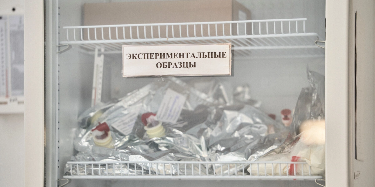 Берём верхнюю ноту: как правильно есть голубое мороженое «Кукис»