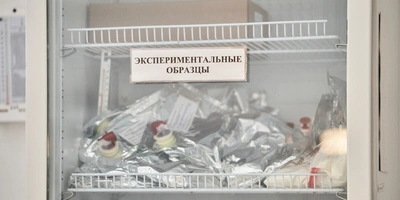 Берём верхнюю ноту: как правильно есть голубое мороженое «Кукис»