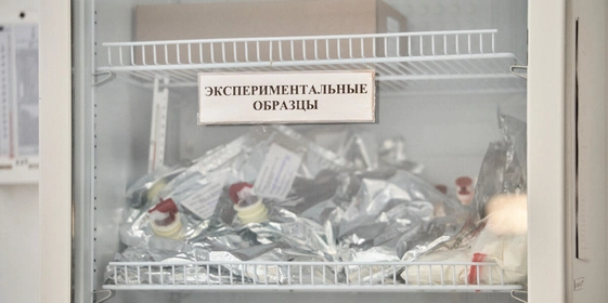 Берём верхнюю ноту: как правильно есть голубое мороженое «Кукис»