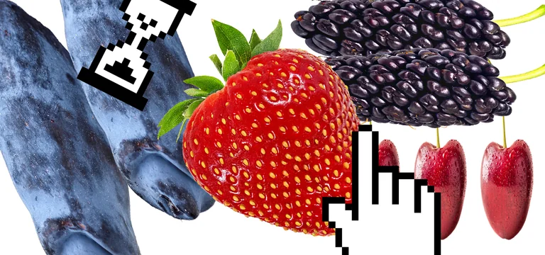 Тест. Какая вы ягодка